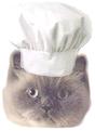 Mr. Chef Cat!