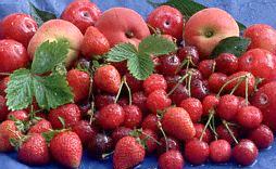 Berries